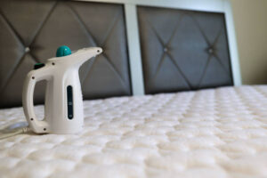 bed bug treatment at home