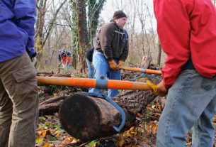 Seeking the Best Tree Cutting Service in Philadelphia? Look No Further! Seeking the Best Tree Cutting Service in Philadelphia? Look No Further!