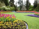 How Professional Landscaping Reduces Long-Term Maintenance Costs How Professional Landscaping Reduces Long-Term Maintenance Costs
