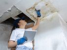 Understanding Mold Inspection: Why It Matters and What to Expect Understanding Mold Inspection: Why It Matters and What to Expect