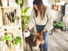 Modern Pet Care: Holistic & Natural Living Trends Modern Pet Care: Holistic & Natural Living Trends