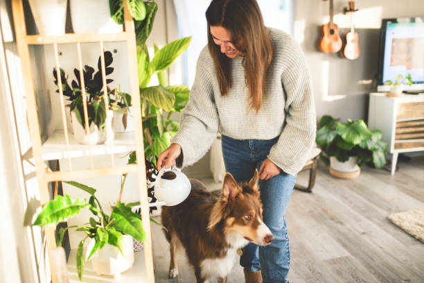 Modern Pet Care: Holistic & Natural Living Trends Modern Pet Care: Holistic & Natural Living Trends