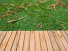 From Balconies to Backyards: Why PetGrows Fits Modern Pet-Friendly Spaces Better From Balconies to Backyards: Why PetGrows Fits Modern Pet-Friendly Spaces Better