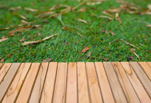 From Balconies to Backyards: Why PetGrows Fits Modern Pet-Friendly Spaces Better From Balconies to Backyards: Why PetGrows Fits Modern Pet-Friendly Spaces Better